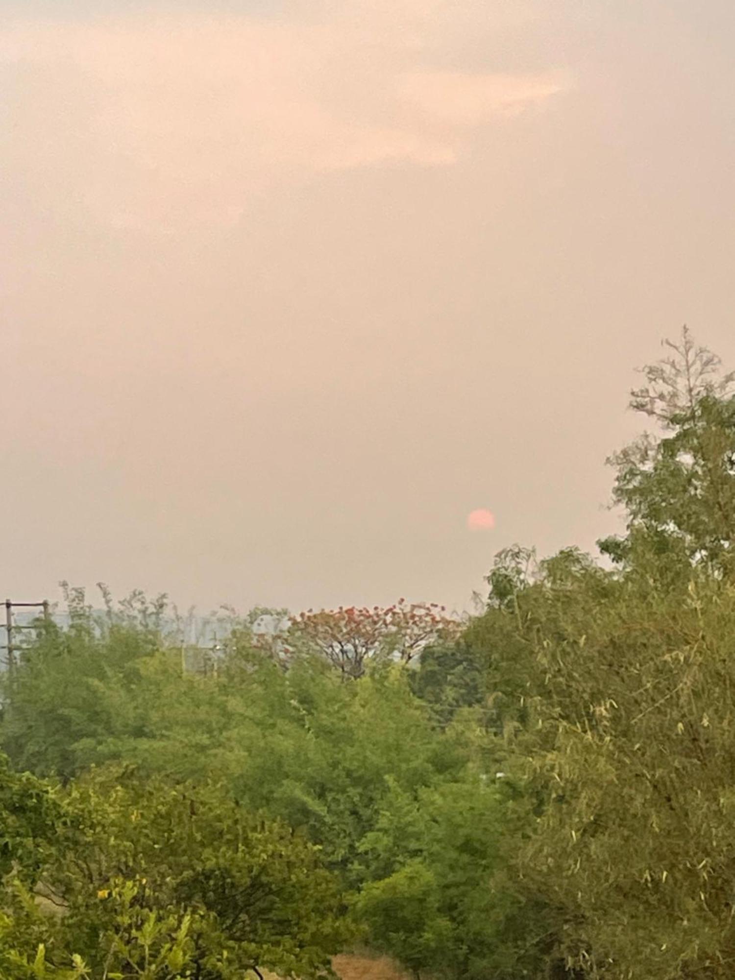 Samruddhi S1 Homestay Garden Villa Or S3 Nagpur Eksteriør bilde